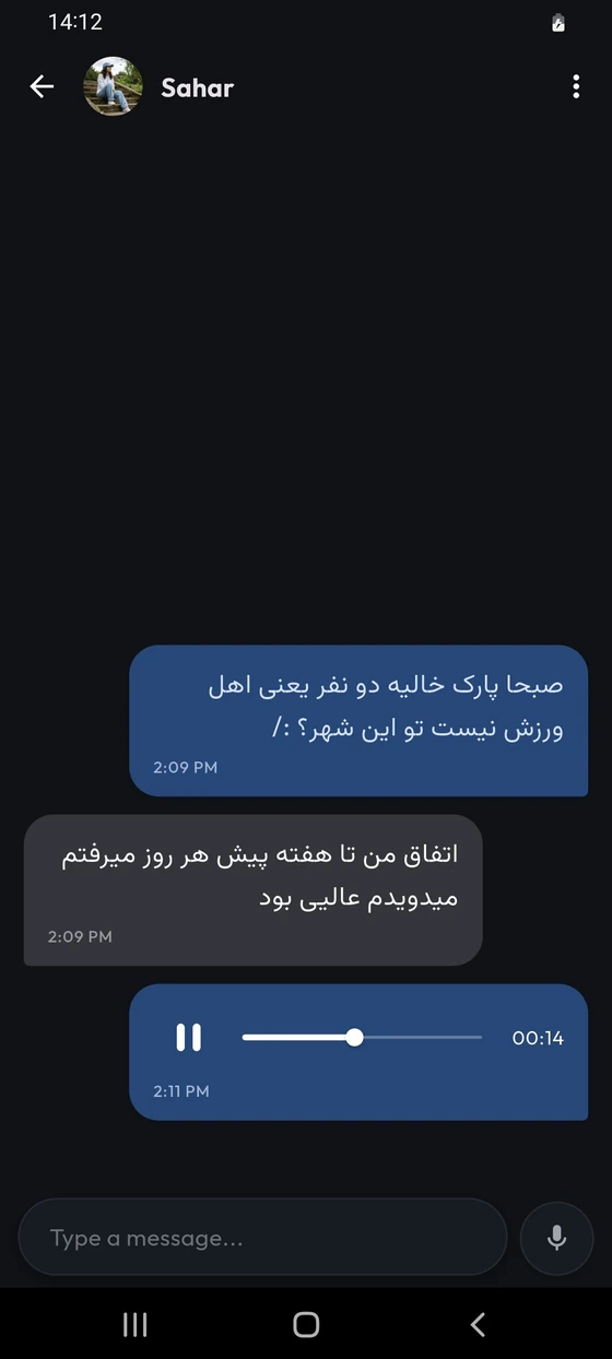 چت متنی و صوتی